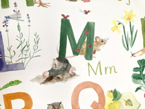 Illustriertes ABC-Poster zum Thema Garten für Vorschulkinder und Schulkinder. Mit Groß- und Kleinbuchstaben, wie sie in der Schule gelernt werden.