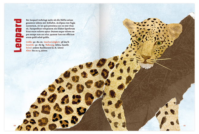 In der Savanne zuhause, Sachbuch für Kinder, Leopard