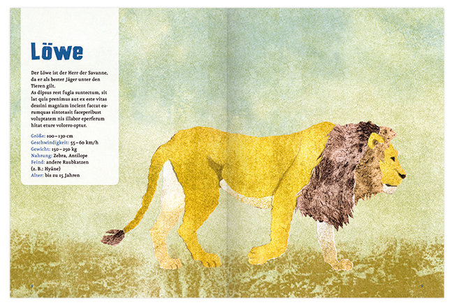 In der Savanne zuhause, Sachbuch für Kinder, Löwe