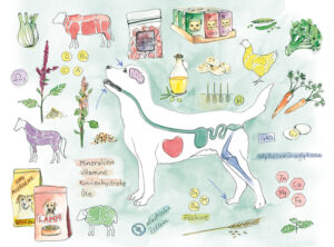 Illustration, Editorial, Mein Haustier, Ernährung, Inpact MediaVerlag