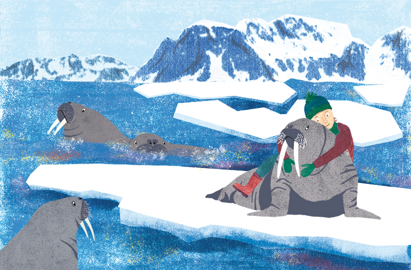 Arktis, Walross, Kind, Meer, Eis, Berge, Collage, Kinderbuch